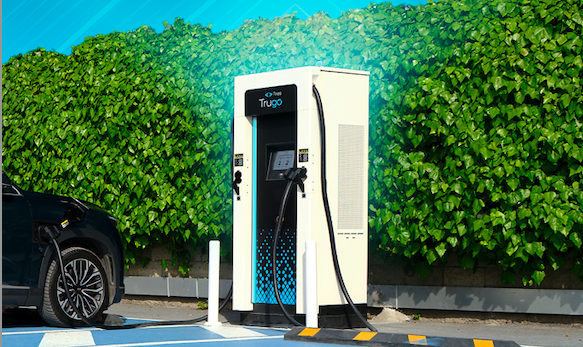 Trugo enerji satışında liderliğini sürdürüyor